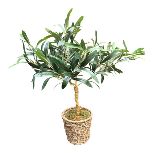 Artificial olive tree - olive, in