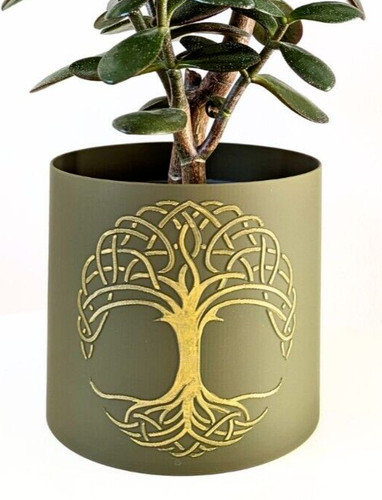 Plant pot tree of - plant,