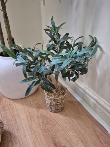 Dunelm faux artificial olive - dunelm,