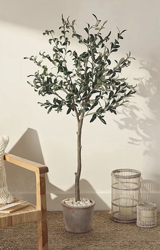 The white company - the,