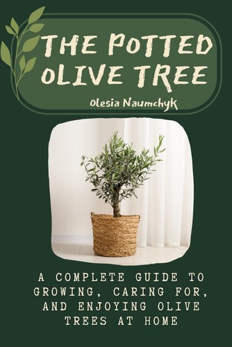 The potted olive tree - the,