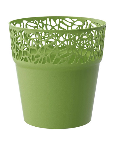 12cm plant pot - plant,