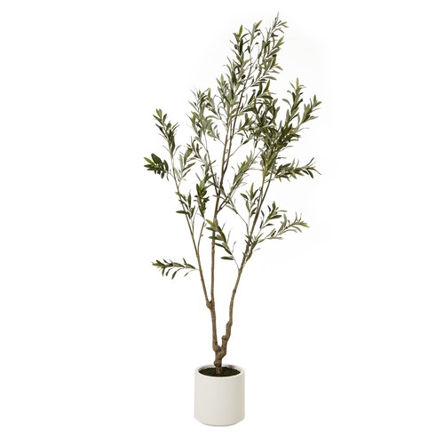 Brown apulia olive tree - apulia,