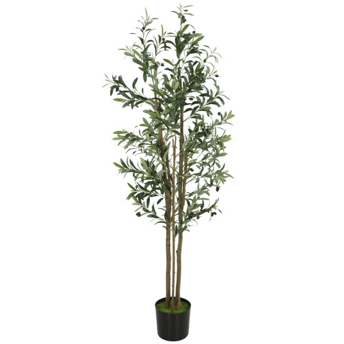 Decorative artificial plant - decorative,