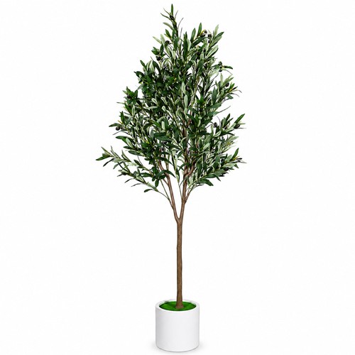 6ft artificial olive - artificial,