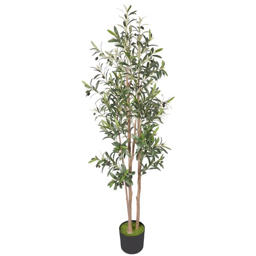 Decorative artificial plant - decorative,