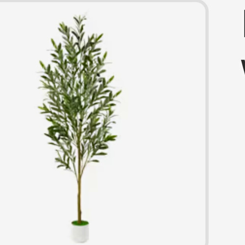 Alupssuc faux olive tree - alupssuc,