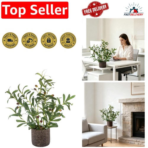 Elegant faux olive plant - elegant, 18”