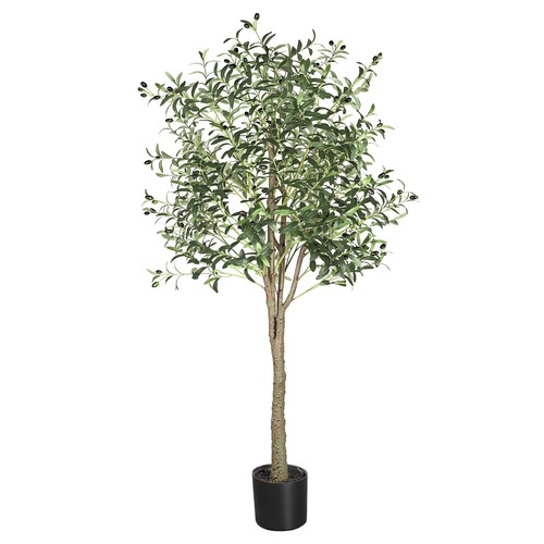 6ft artificial olive - artificial,