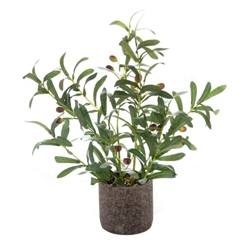 Inch realistic olive tree - realistic,